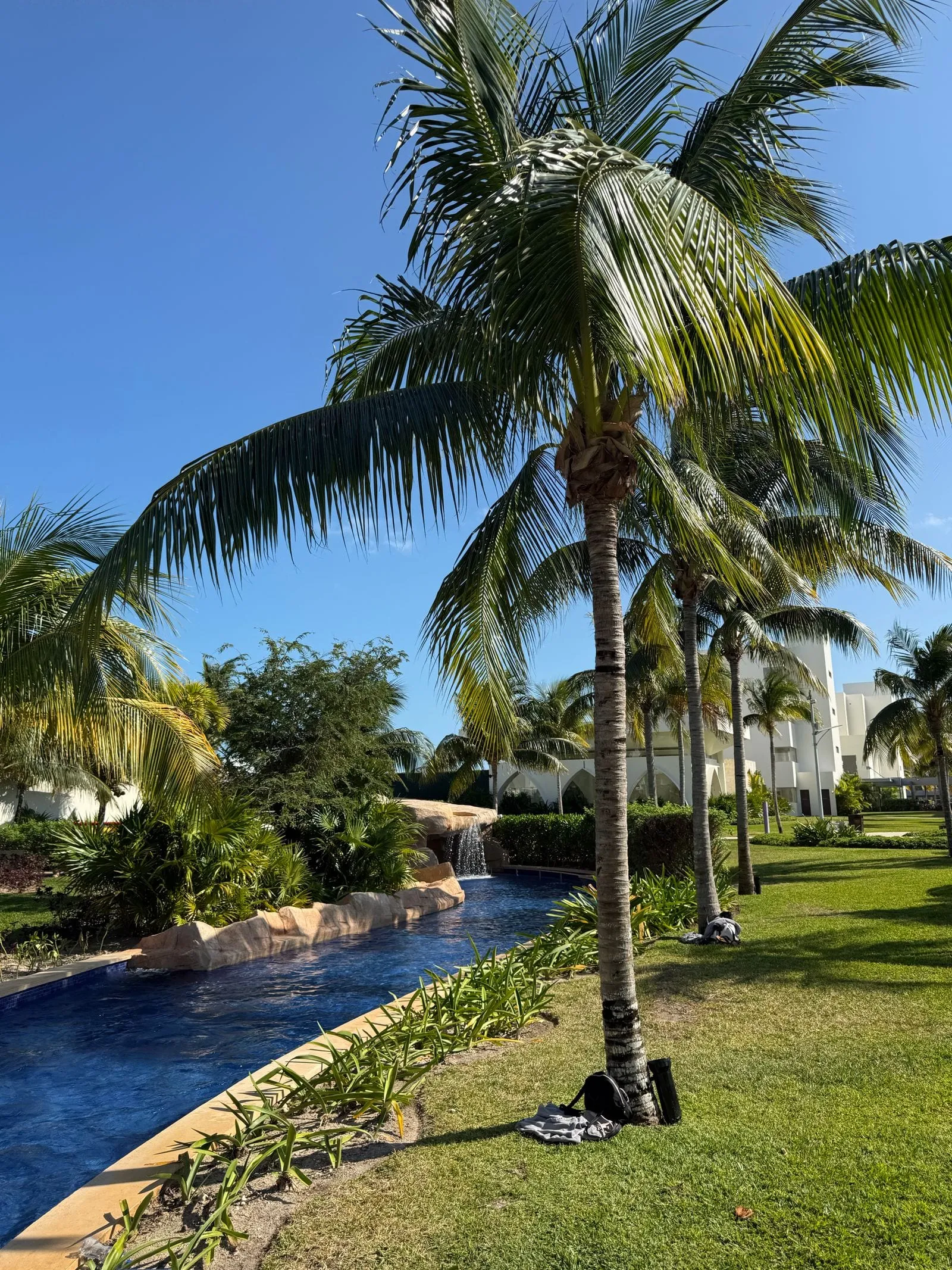 Resort-style community pool photography with palm trees in a 55+ community near The Villages FL